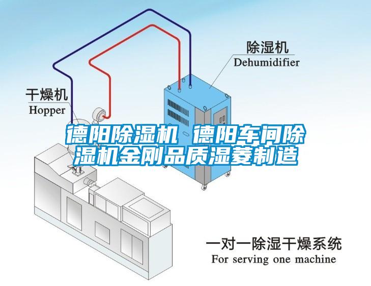 德陽除濕機 德陽車間除濕機金剛品質濕菱制造