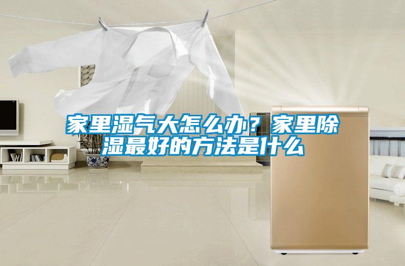 家里濕氣大怎么辦？家里除濕最好的方法是什么