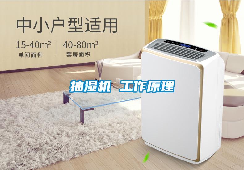 抽濕機 工作原理