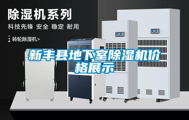 新豐縣地下室除濕機價格展示