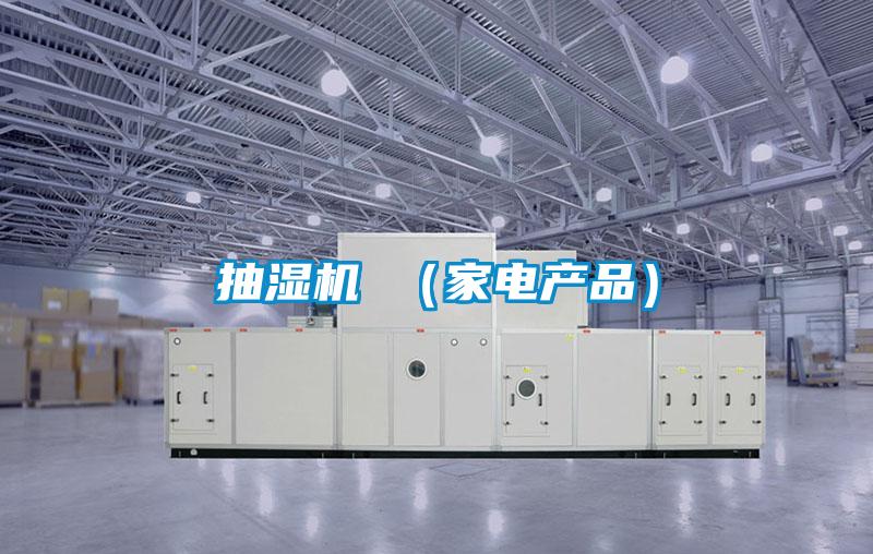 抽濕機 （家電產品）