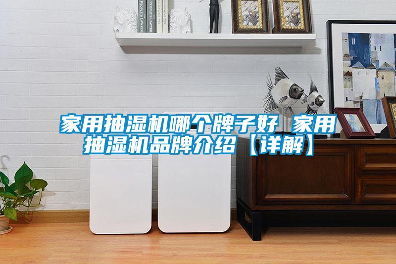 家用抽濕機哪個牌子好 家用抽濕機品牌介紹【詳解】