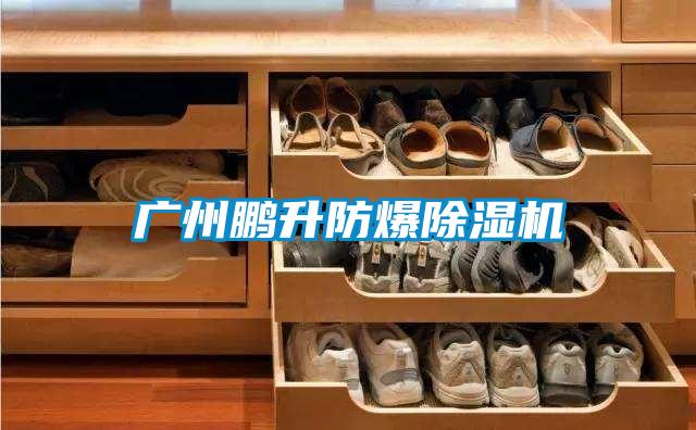 廣州鵬升防爆除濕機(jī)