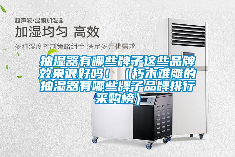 抽濕器有哪些牌子這些品牌效果很好嗎！（朽木難雕的抽濕器有哪些牌子品牌排行采購榜）