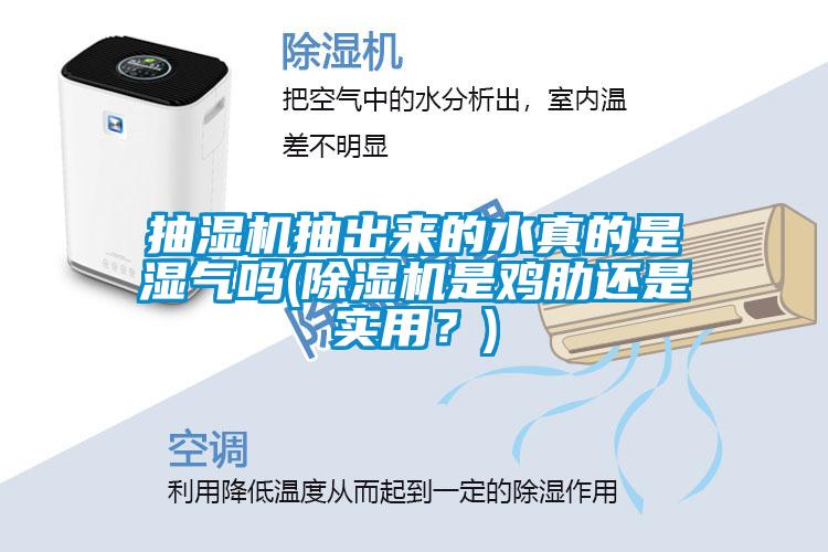 抽濕機(jī)抽出來(lái)的水真的是濕氣嗎(除濕機(jī)是雞肋還是實(shí)用？)