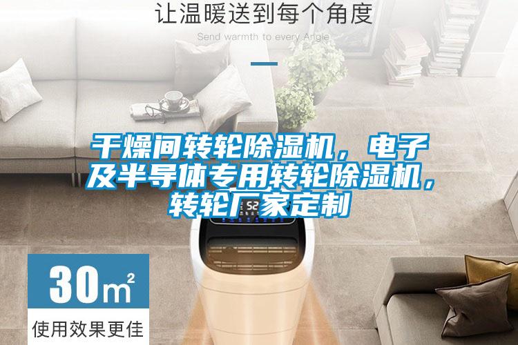干燥間轉輪除濕機，電子及半導體專用轉輪除濕機，轉輪廠家定制
