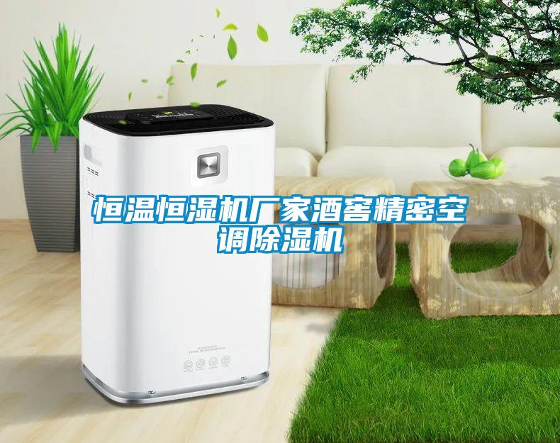 恒溫恒濕機廠家酒窖精密空調除濕機