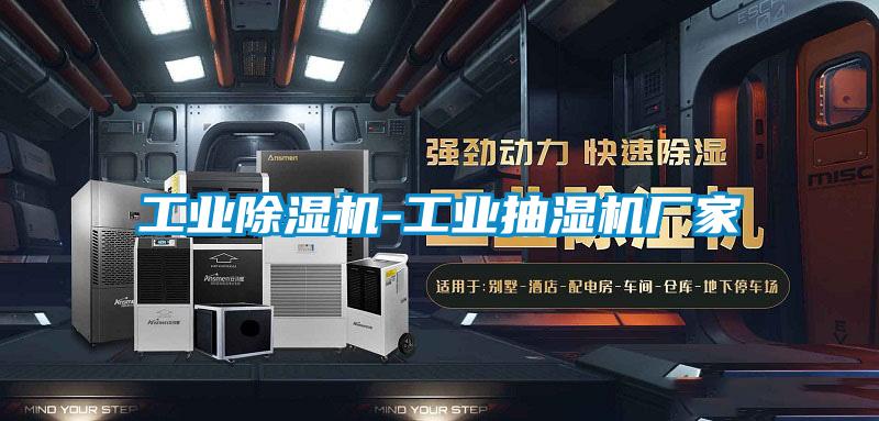 工業(yè)除濕機-工業(yè)抽濕機廠家