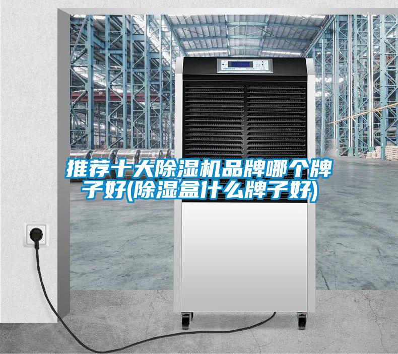 推薦十大除濕機品牌哪個牌子好(除濕盒什么牌子好)