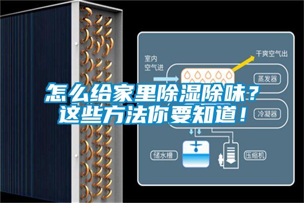 怎么給家里除濕除味？這些方法你要知道！