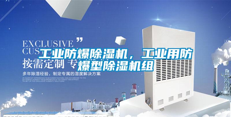 工業(yè)防爆除濕機，工業(yè)用防爆型除濕機組