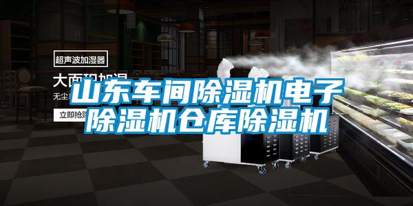 山東車間除濕機電子除濕機倉庫除濕機