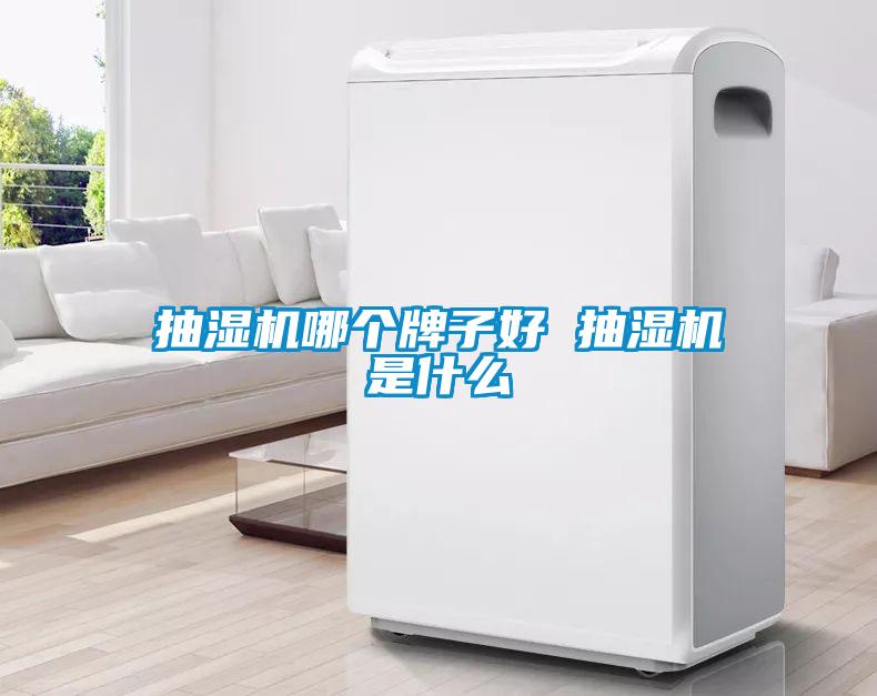 抽濕機哪個牌子好 抽濕機是什么