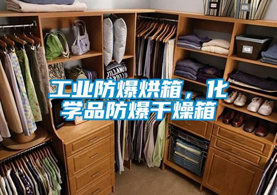工業防爆烘箱，化學品防爆干燥箱