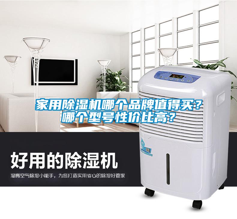 家用除濕機(jī)哪個(gè)品牌值得買？哪個(gè)型號(hào)性價(jià)比高？