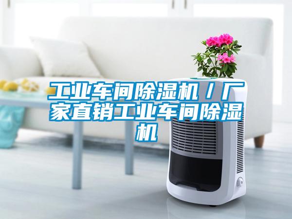工業車間除濕機／廠家直銷工業車間除濕機
