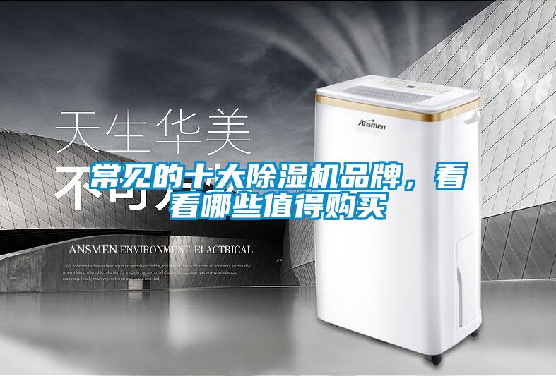 常見的十大除濕機品牌，看看哪些值得購買