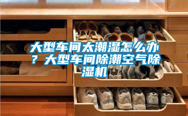 大型車間太潮濕怎么辦？大型車間除潮空氣除濕機(jī)