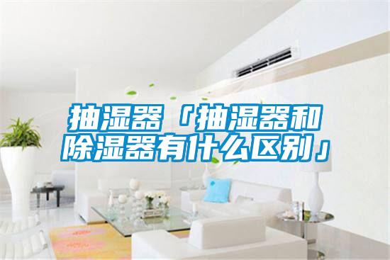 抽濕器「抽濕器和除濕器有什么區別」