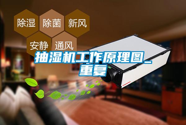 抽濕機(jī)工作原理圖_重復(fù)