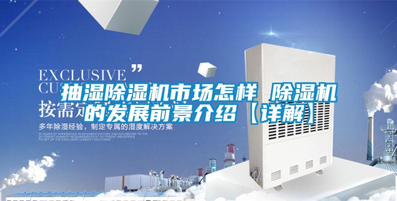 抽濕除濕機市場怎樣 除濕機的發展前景介紹【詳解】