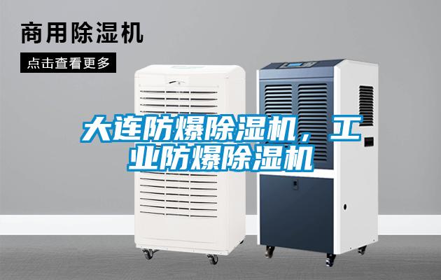 大連防爆除濕機，工業(yè)防爆除濕機
