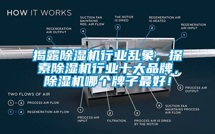 揭露除濕機行業亂象，探索除濕機行業十大品牌，除濕機哪個牌子最好！