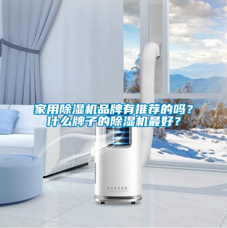 家用除濕機(jī)品牌有推薦的嗎？什么牌子的除濕機(jī)最好？