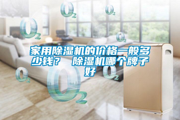 家用除濕機的價格一般多少錢？ 除濕機哪個牌子好