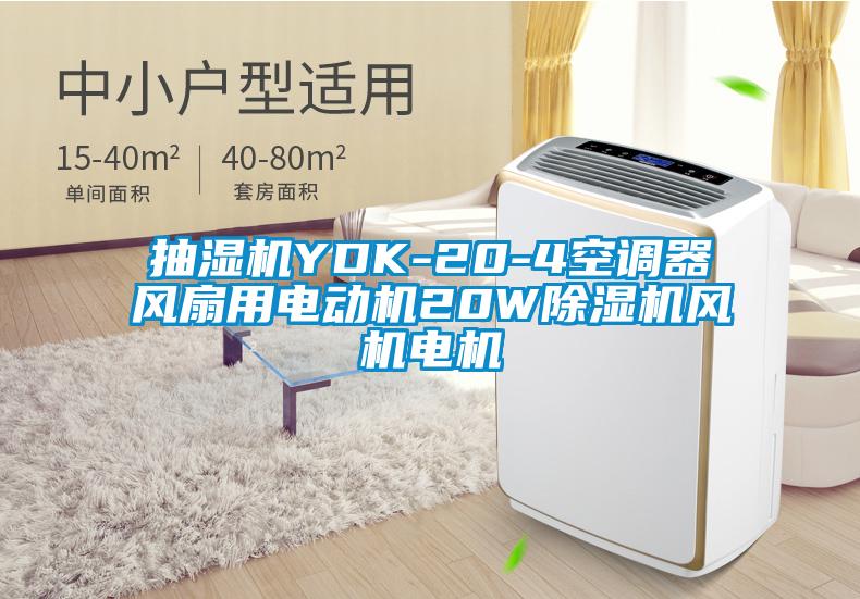 抽濕機YDK-20-4空調器風扇用電動機20W除濕機風機電機