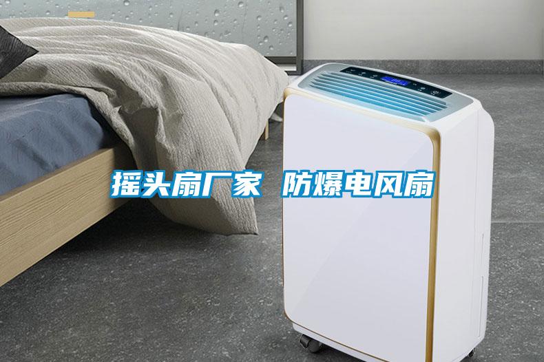 搖頭扇廠家 防爆電風扇