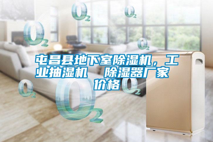 屯昌縣地下室除濕機(jī)，工業(yè)抽濕機(jī)  除濕器廠家 價(jià)格