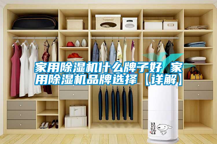 家用除濕機(jī)什么牌子好 家用除濕機(jī)品牌選擇【詳解】