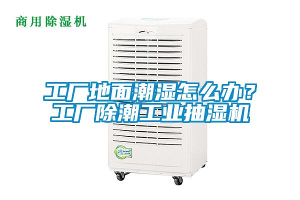 工廠地面潮濕怎么辦？工廠除潮工業抽濕機