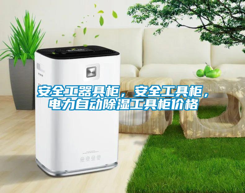 安全工器具柜，安全工具柜，電力自動(dòng)除濕工具柜價(jià)格