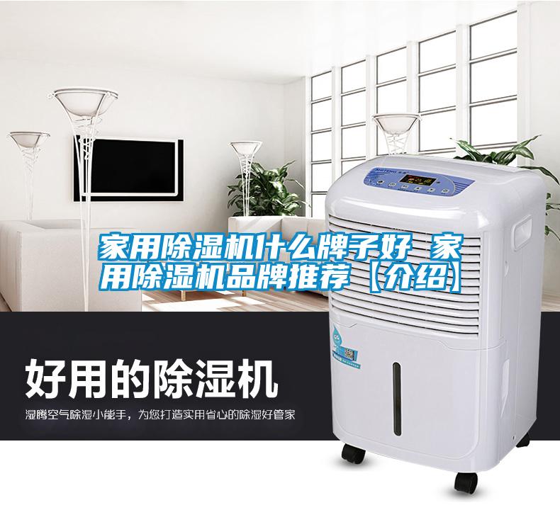 家用除濕機(jī)什么牌子好 家用除濕機(jī)品牌推薦【介紹】