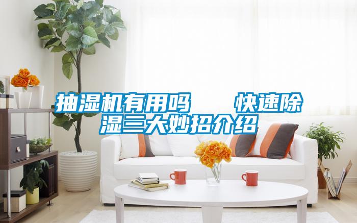 抽濕機有用嗎   快速除濕三大妙招介紹