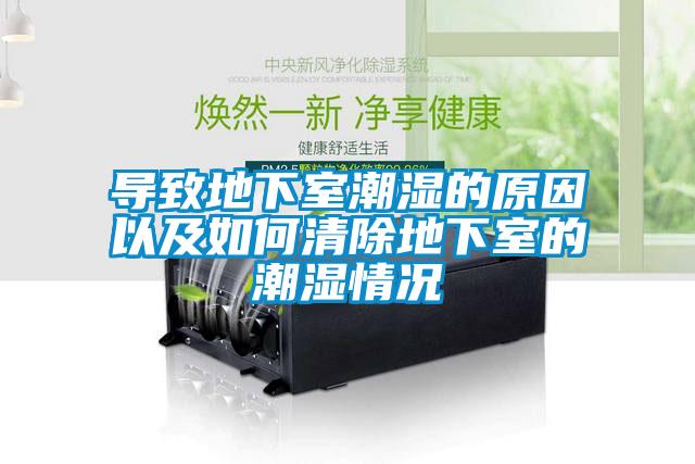 導致地下室潮濕的原因以及如何清除地下室的潮濕情況