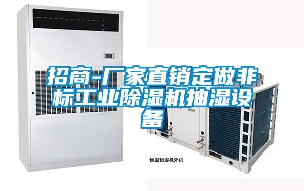 招商-廠家直銷定做非標工業除濕機抽濕設備