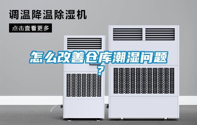 怎么改善倉庫潮濕問題？