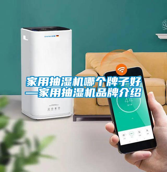 家用抽濕機哪個牌子好—家用抽濕機品牌介紹