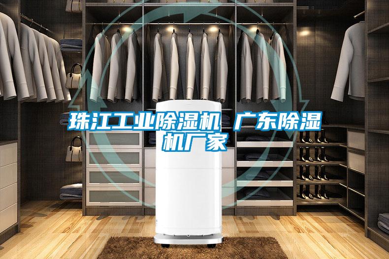 珠江工業除濕機 廣東除濕機廠家
