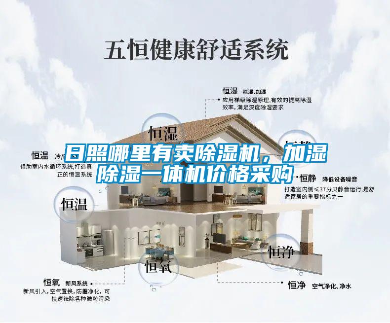 日照哪里有賣除濕機，加濕除濕一體機價格采購