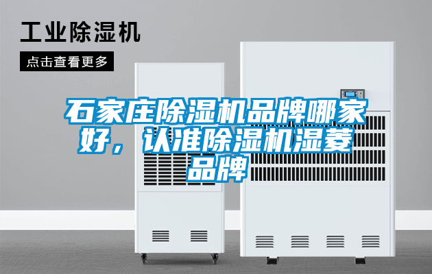 石家莊除濕機(jī)品牌哪家好，認(rèn)準(zhǔn)除濕機(jī)濕菱品牌