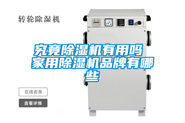 究竟除濕機有用嗎 家用除濕機品牌有哪些