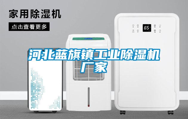 河北藍旗鎮工業除濕機廠家