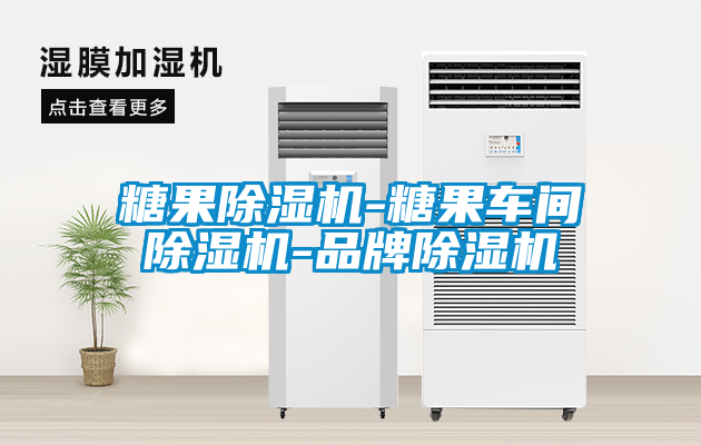糖果除濕機(jī)-糖果車(chē)間除濕機(jī)-品牌除濕機(jī)