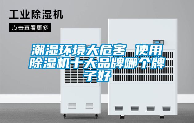 潮濕環(huán)境大危害 使用除濕機(jī)十大品牌哪個(gè)牌子好