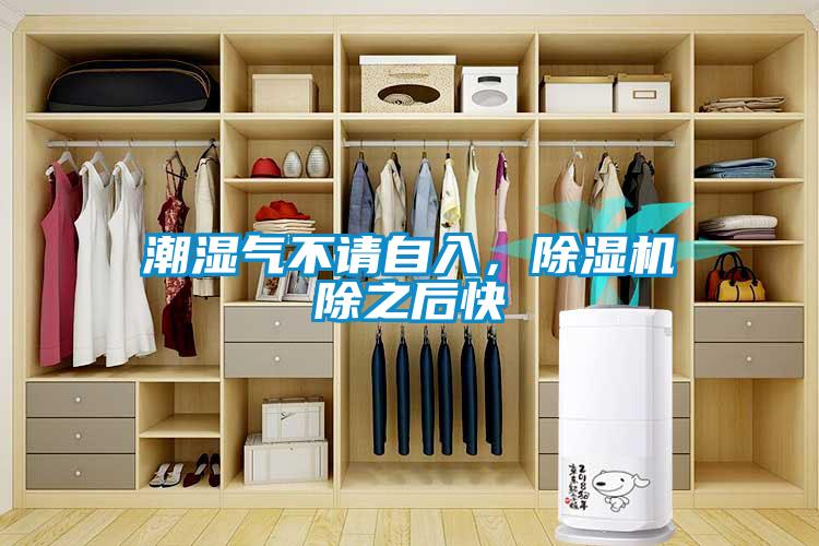 潮濕氣不請(qǐng)自入，除濕機(jī)除之后快