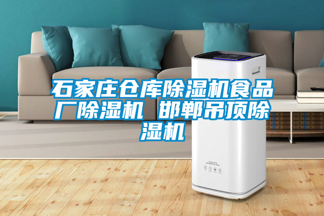 石家莊倉庫除濕機食品廠除濕機 邯鄲吊頂除濕機
